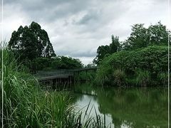 -白鹭湾湿地公园