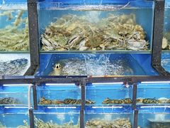 水产区-桔子海鲜烧烤大排档(金沙滩店)