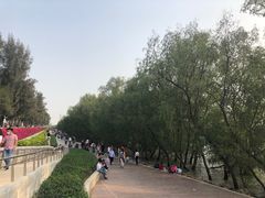 -宝安西湾红树林湿地公园