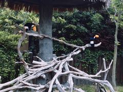 -上海野生动物园