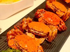 -红盔甲·小龙虾(天钥桥店)