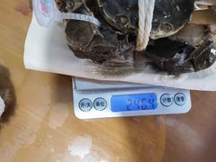 -阳澄湖大闸蟹·琼灵阁牌品牌连锁(吴中总店)