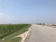 -南汇嘴观海公园