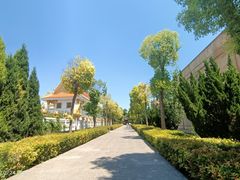 -洛阳白马寺