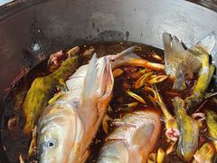 大锅鱼-小赖鱼馆