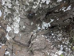 -南通博物苑-崇川人民公园