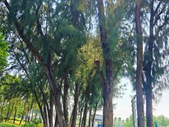 -宝安西湾红树林湿地公园