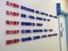 -全心全意连锁动物医院·微创中心·内科急重症·心脏专科(丰管路店)