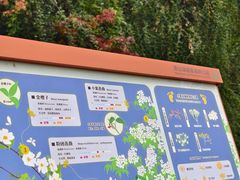 -青山湖景区