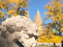 -北京石刻艺术博物馆(五塔寺)