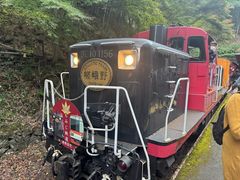 -岚山嵯峨野观光小火车