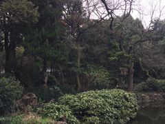 -叶家花园