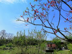 -常德桃花源景区