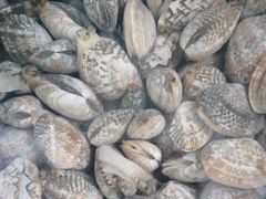 -宾朋海鲜特色美食餐厅·纯手工鲅鱼水饺(兴海路店)