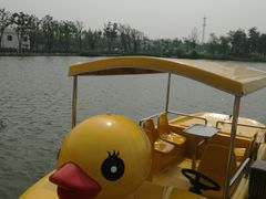 -上海长兴岛郊野公园