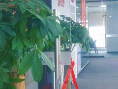 -金吉列留学·语培·小语种·国际课程(江西分公司)