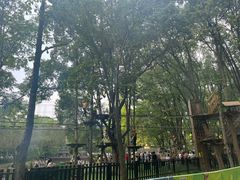 -WeLope紫金山探险公园