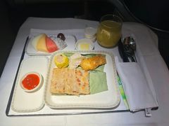-新加坡航空公司(ION)
