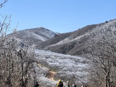 -安吉龙王山风景区