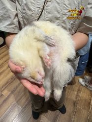 -Zoolung Zoolung动物主题公园(海信广场店)
