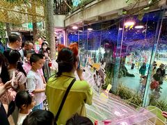 -正佳雨林生态植物园
