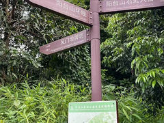 -阳台山森林公园