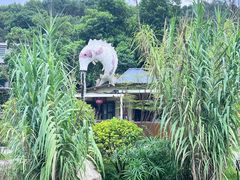 -湘力力小院·鱼汤泡饭(枫林路店)