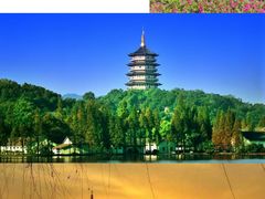 -运河游船(武林门码头)