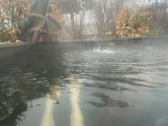 -夏津德百度假村温泉
