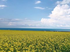-青海湖国家重点风景名胜区