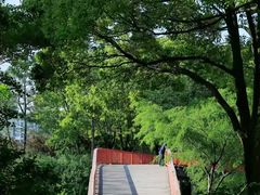 -美兰湖景区