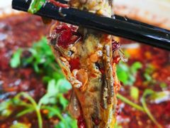 -胖大姐黄辣丁鱼庄(新津店)