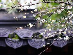 -钱王祠