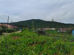 -凤凰山国家森林公园