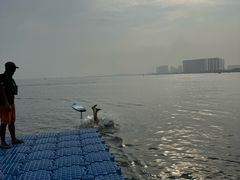 -碧海金沙
