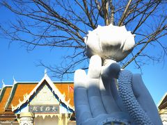 -报恩禅寺