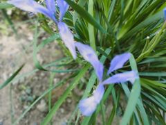 -鹫峰国家森林公园