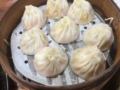 -莱莱小笼·乔艾