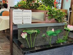 -洞庭家宴·头牌甲鱼(广渠门店)