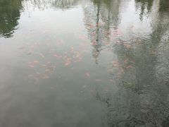 -白马涧龙池景区