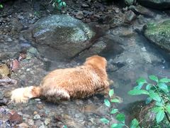 -会稽山峡洞漂流-上青古道
