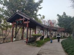 -重庆彩云湖湿地公园