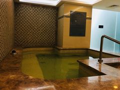 -上海龙之梦万丽酒店