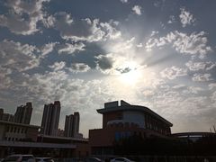 -塘沽站