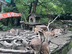 -宁波野生动物园