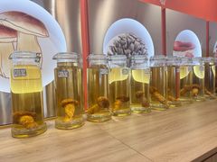 -鲜菌江湖正宗野生菌火锅