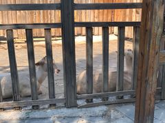 -北京鹿世界主题园