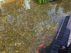 -耕渔小院·湖南鱼鲜(望城店)