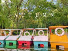 -上海共青森林公园