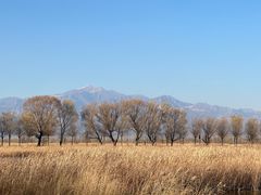 -野鸭湖国家湿地公园